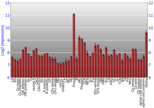 Expression graph