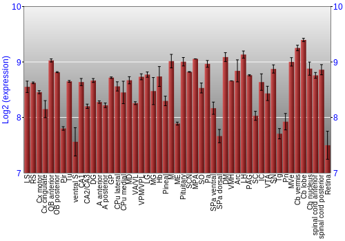 Expression graph