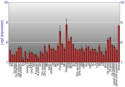 Expression graph