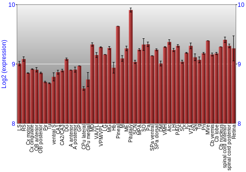 Expression graph