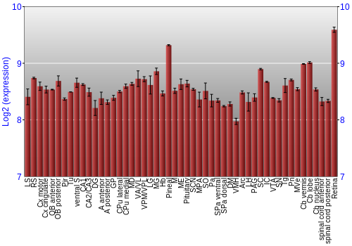 Expression graph