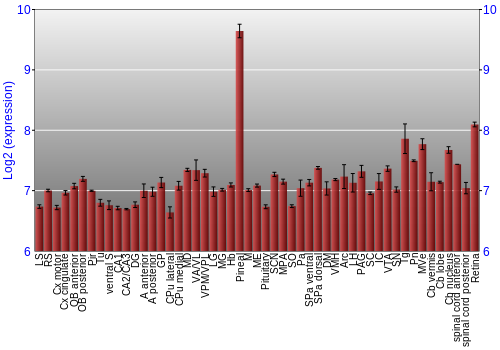 Expression graph