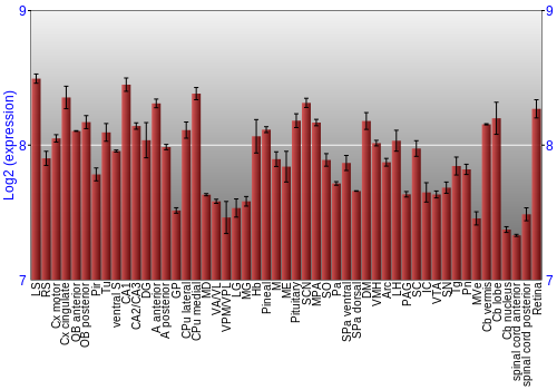 Expression graph