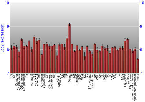 Expression graph