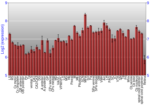 Expression graph