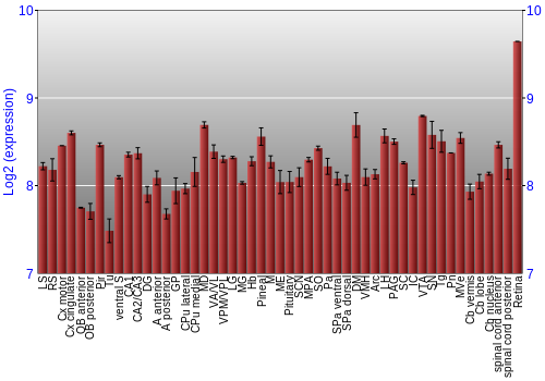 Expression graph
