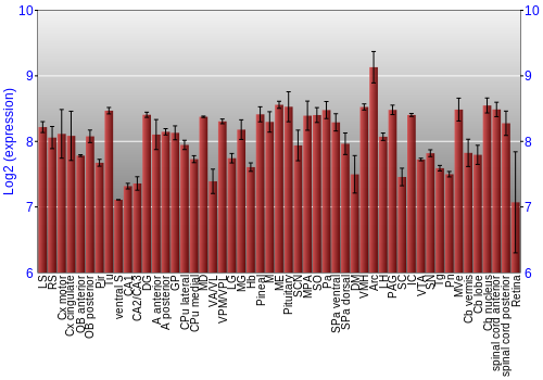 Expression graph