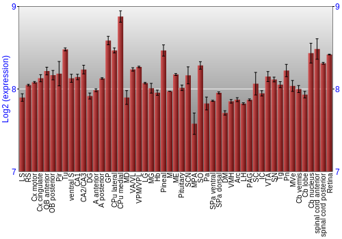Expression graph