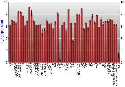 Expression graph