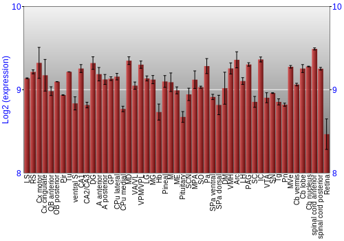 Expression graph