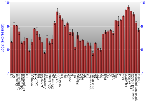Expression graph