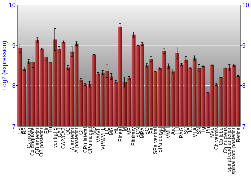 Expression graph
