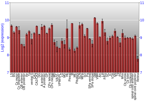 Expression graph