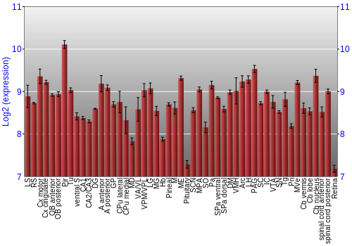 Expression graph