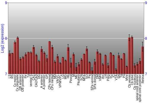 Expression graph
