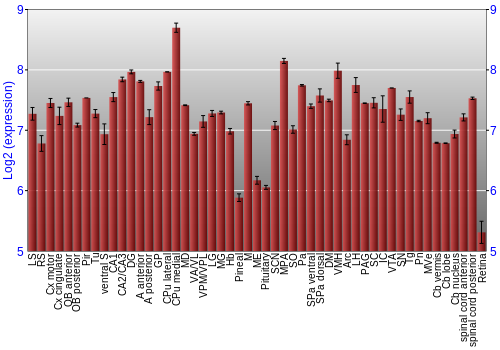 Expression graph