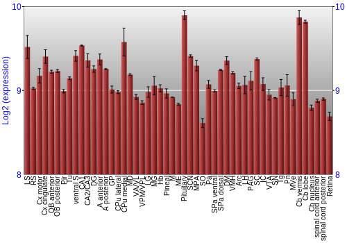 Expression graph