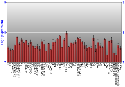 Expression graph
