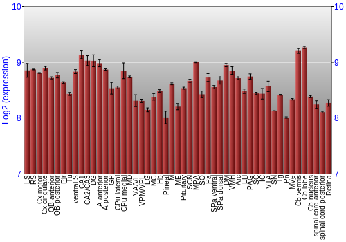 Expression graph