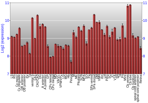 Expression graph
