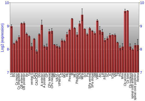 Expression graph