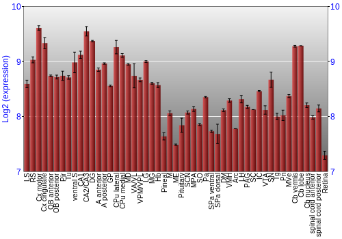 Expression graph