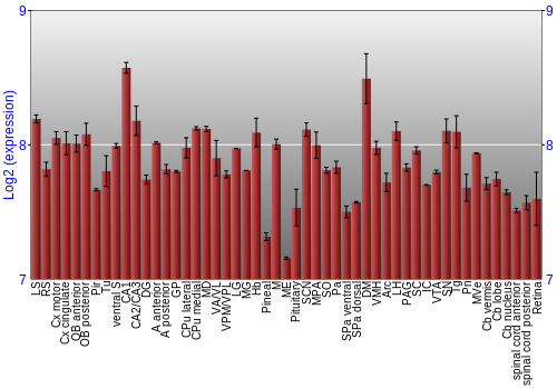 Expression graph