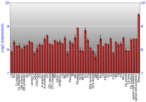 Expression graph