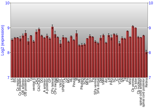 Expression graph
