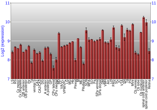 Expression graph