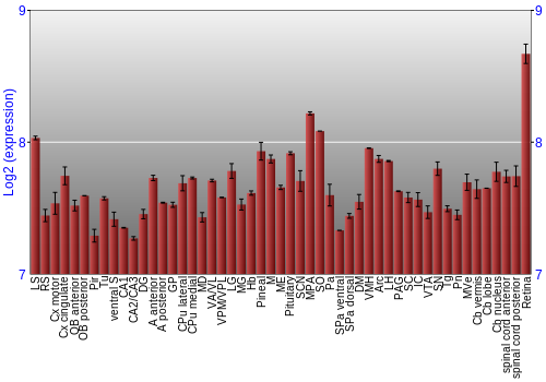 Expression graph