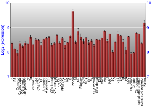 Expression graph
