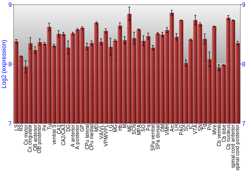 Multi-state expression graph