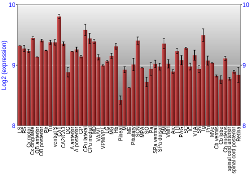 Expression graph