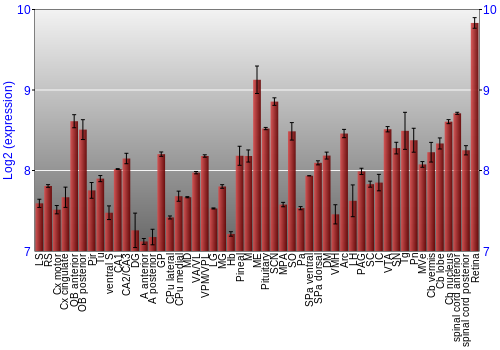 Expression graph