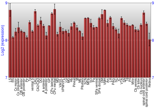Expression graph