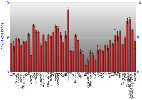 Expression graph