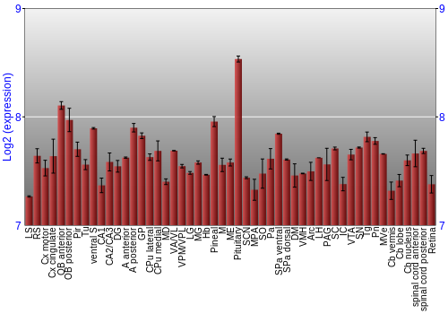 Expression graph