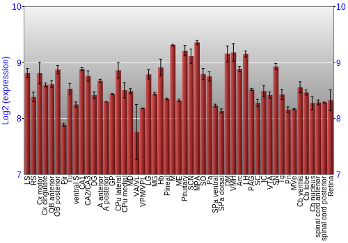 Expression graph