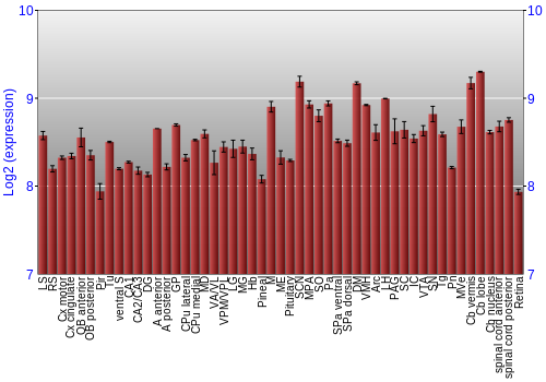 Expression graph