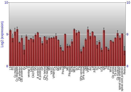 Expression graph