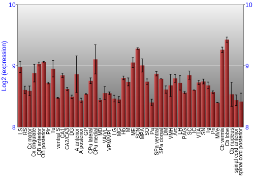 Multi-state expression graph