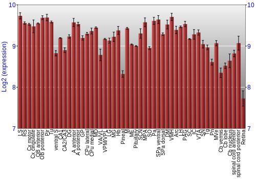 Expression graph