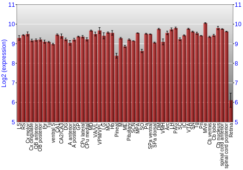 Expression graph
