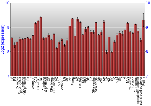 Expression graph