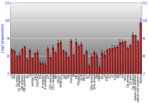 Expression graph