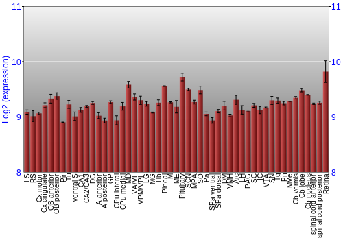 Expression graph
