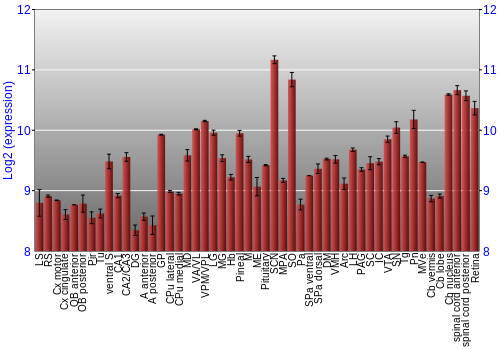 Expression graph