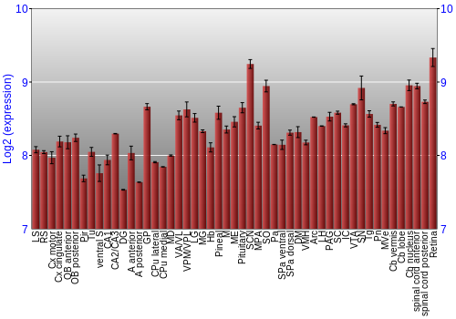 Expression graph