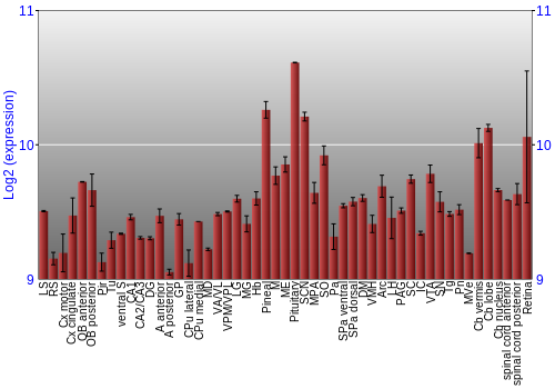 Expression graph